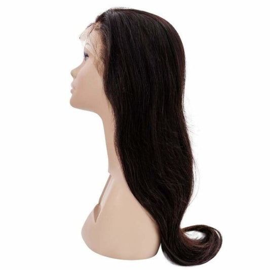 Brazilian Silky Straight Transparent Front Lace Wig